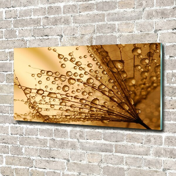 Pintura en acrílico horizontal semillas de diente de león