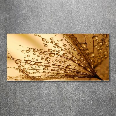 Pintura en acrílico horizontal semillas de diente de león