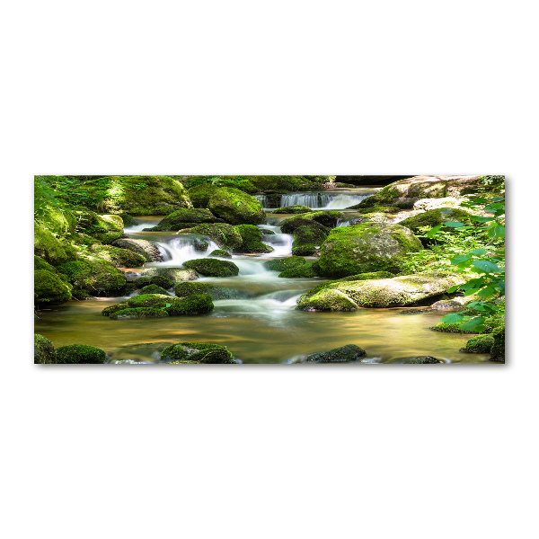 Pintura en acrílico horizontal Cascada