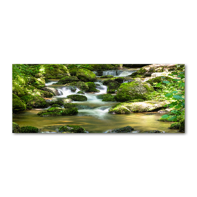 Pintura en acrílico horizontal Cascada