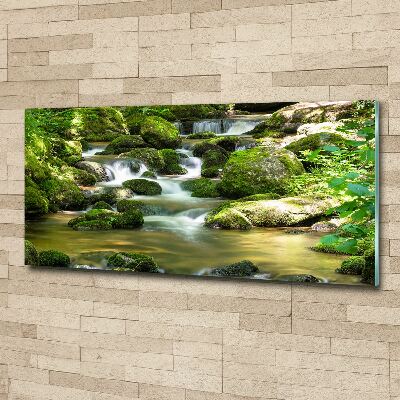 Pintura en acrílico horizontal Cascada