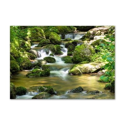 Pintura en acrílico horizontal Cascada