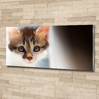 Cuadro metacrilato horizontal Pequeño gato