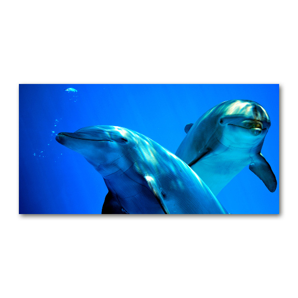 Foto en metacrilato horizontal Dos delfines