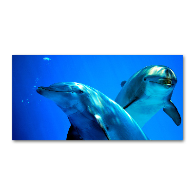 Foto en metacrilato horizontal Dos delfines