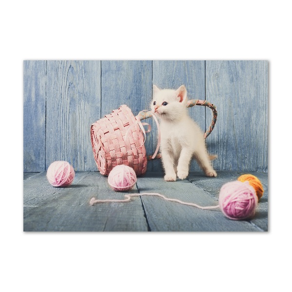 Cuadro acrílico horizontal Gato blanco y madejas