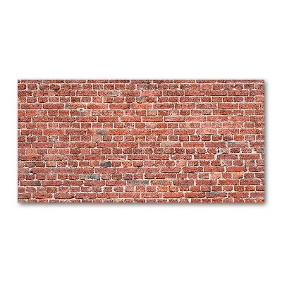Pintura en acrílico horizontal pared de ladrillos