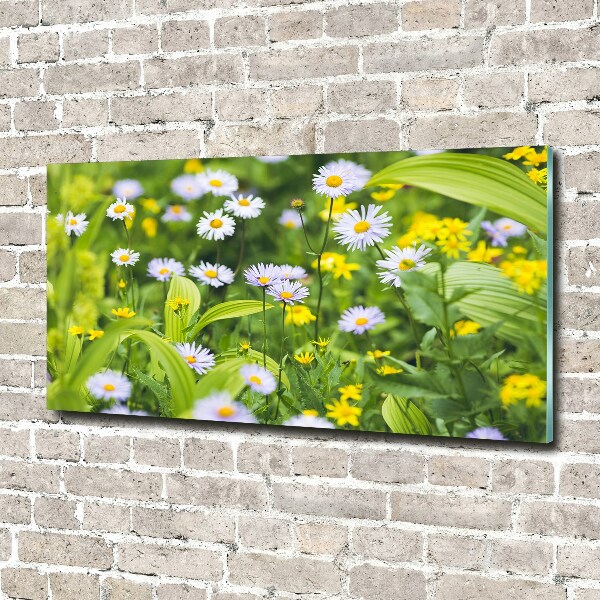 Pintura en acrílico horizontal margaritas