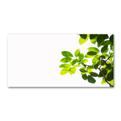 Cuadro metacrilato horizontal Hojas