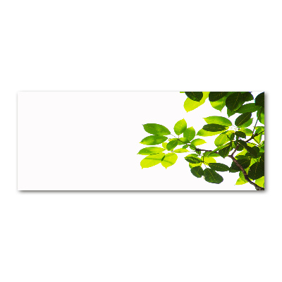 Cuadro metacrilato horizontal Hojas