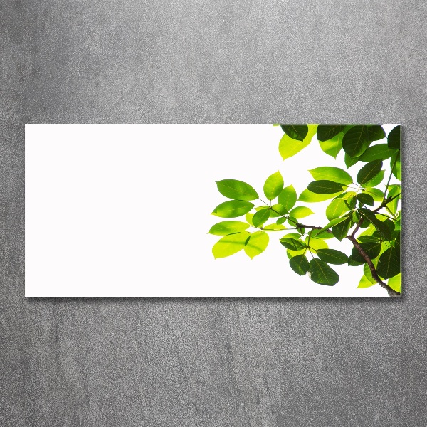 Cuadro metacrilato horizontal Hojas