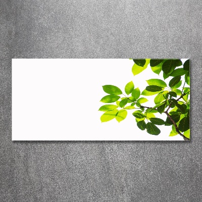 Cuadro metacrilato horizontal Hojas