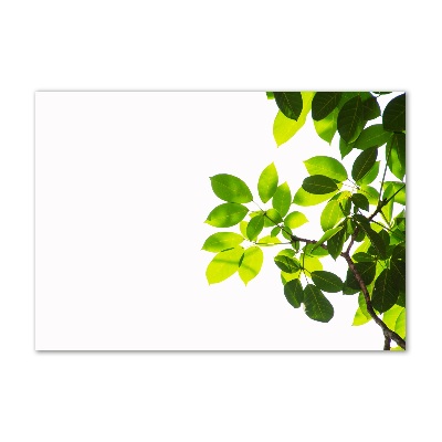 Cuadro metacrilato horizontal Hojas