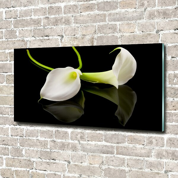 Foto en metacrilato horizontal Calla