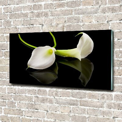 Foto en metacrilato horizontal Calla