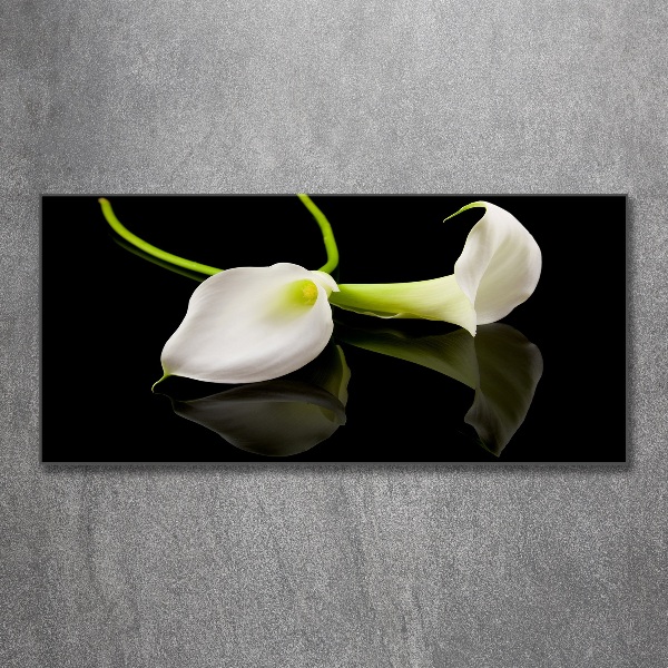 Foto en metacrilato horizontal Calla