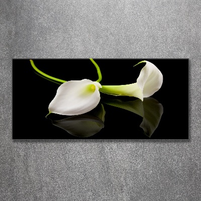 Foto en metacrilato horizontal Calla