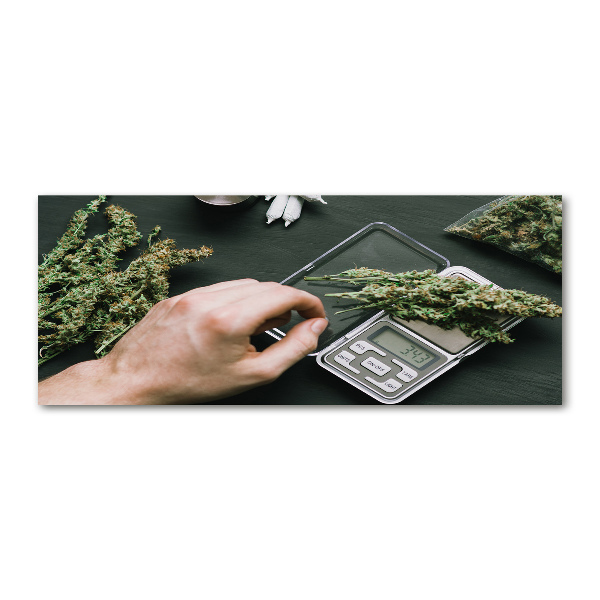 Pintura en acrílico horizontal cogollos de marihuana