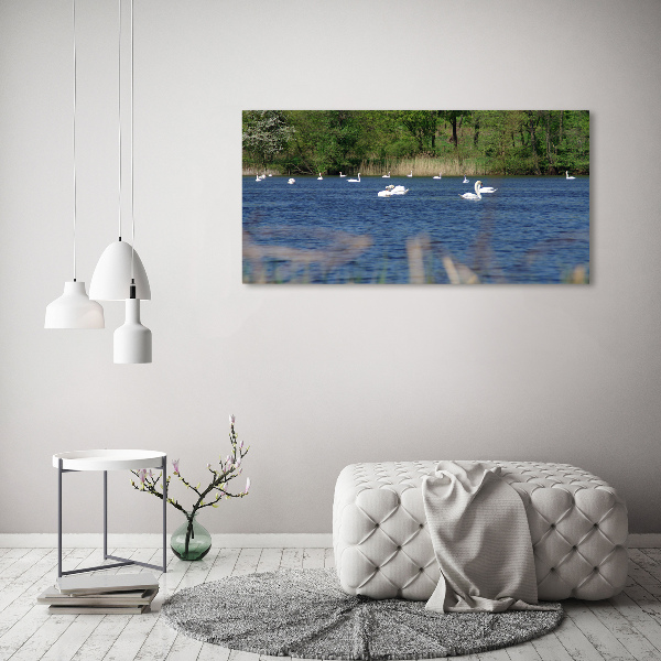 Pintura en acrílico horizontal cisnes blancos