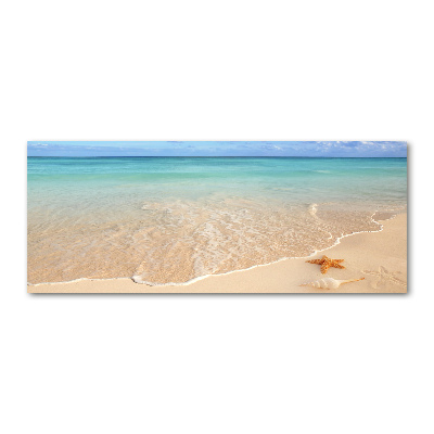 Foto obraz akryl Rozgwiazda na plaży