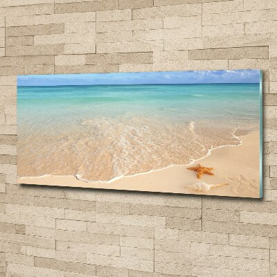 Cuadro metacrilato horizontal Estrellas de mar en la playa