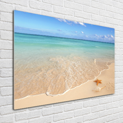 Cuadro metacrilato horizontal Estrellas de mar en la playa