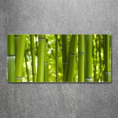 Obraz zdjęcie na scianę pleksi Bambus