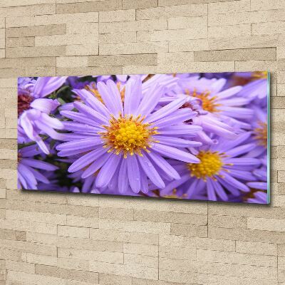 Cuadro metacrilato horizontal Asters