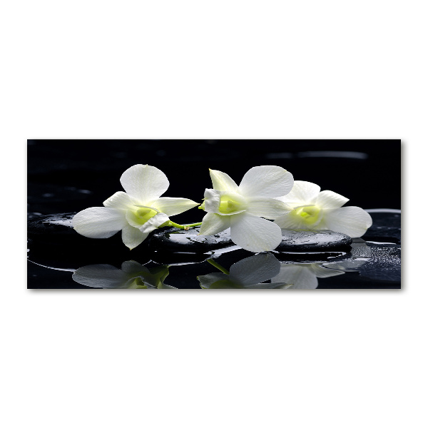 Pintura en acrílico horizontal Orquídea