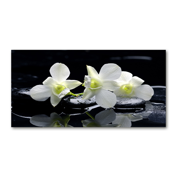 Pintura en acrílico horizontal Orquídea