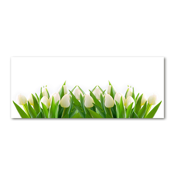 Cuadro metacrilato horizontal tulipanes blancos