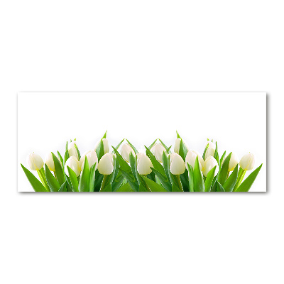 Cuadro metacrilato horizontal tulipanes blancos