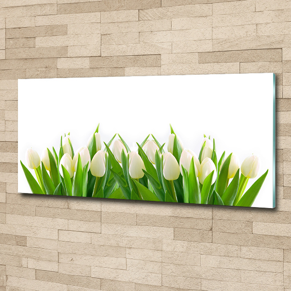 Cuadro metacrilato horizontal tulipanes blancos