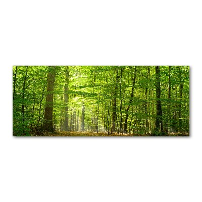 Cuadro metacrilato horizontal Bosque caducifolio