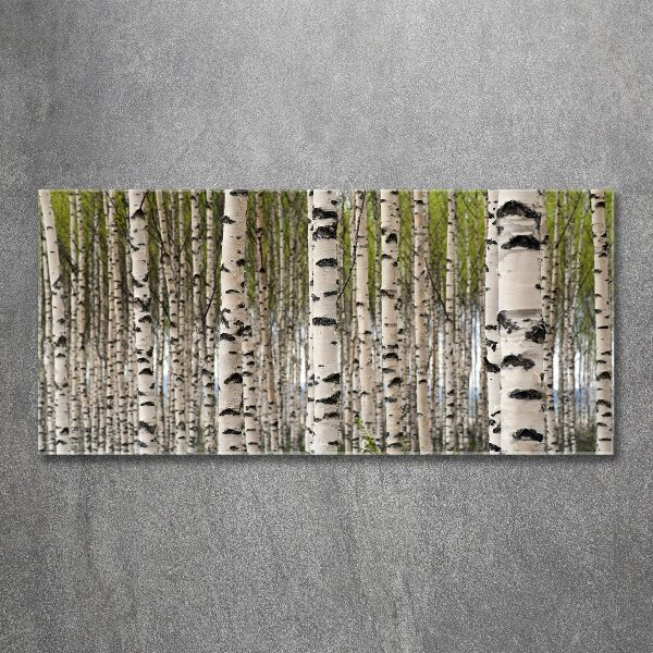 Cuadro acrílico horizontal bosque de abedules