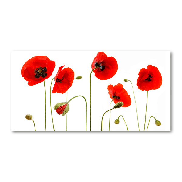 Foto en metacrilato horizontal Amapolas