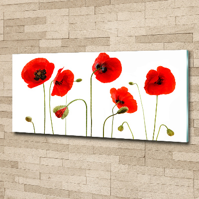 Foto en metacrilato horizontal Amapolas