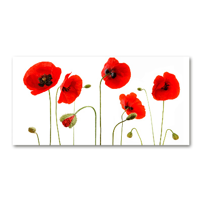 Foto en metacrilato horizontal Amapolas