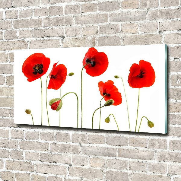 Foto en metacrilato horizontal Amapolas