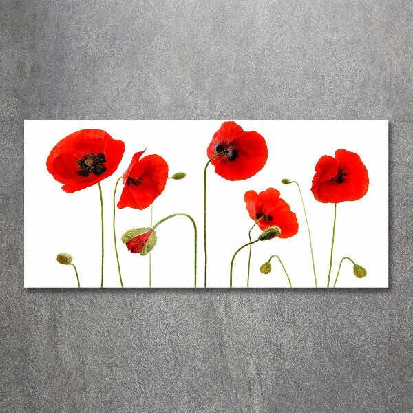 Foto en metacrilato horizontal Amapolas