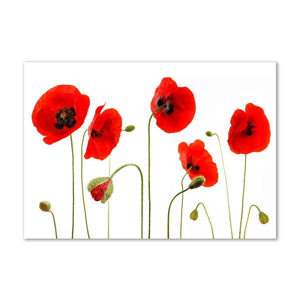 Foto en metacrilato horizontal Amapolas