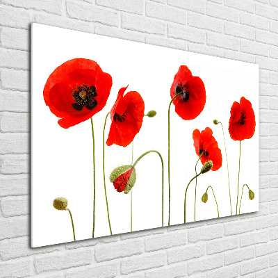 Foto en metacrilato horizontal Amapolas