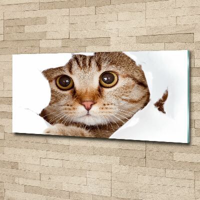 Pintura en acrílico horizontal Gato