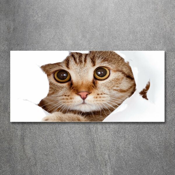 Pintura en acrílico horizontal Gato