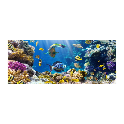 Cuadro metacrilato horizontal Arrecife de coral