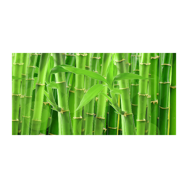 Cuadro acrílico horizontal Bambúes