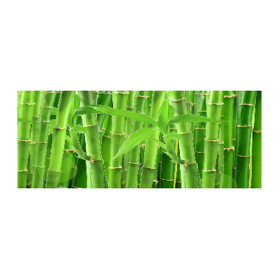 Cuadro acrílico horizontal Bambúes