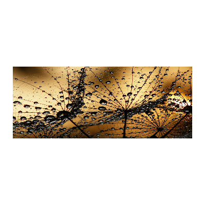 Foto en metacrilato horizontal semillas de diente de león