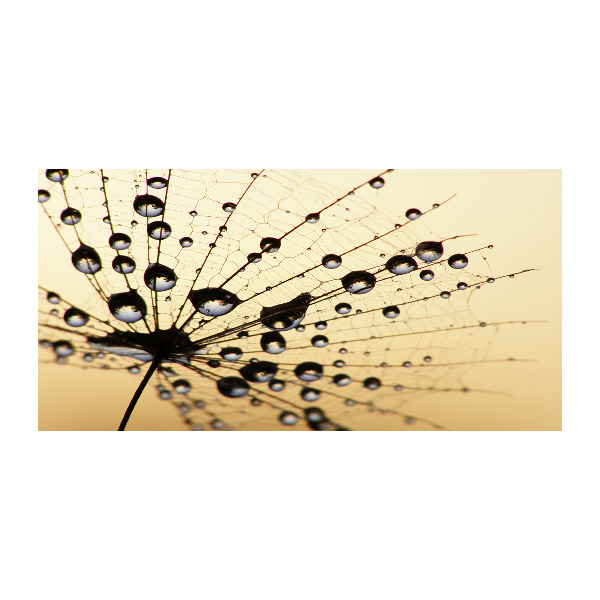 Cuadro acrílico horizontal Semilla de diente de león