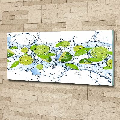 Cuadro metacrilato horizontal Limas y agua